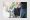 Support Coordination-